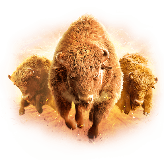 African ရိုးရာကျွဲဂိမ်း ဆင်သင်္ကေတ Reel ပေါ်တွင် ပေါ်နေသောပုံ